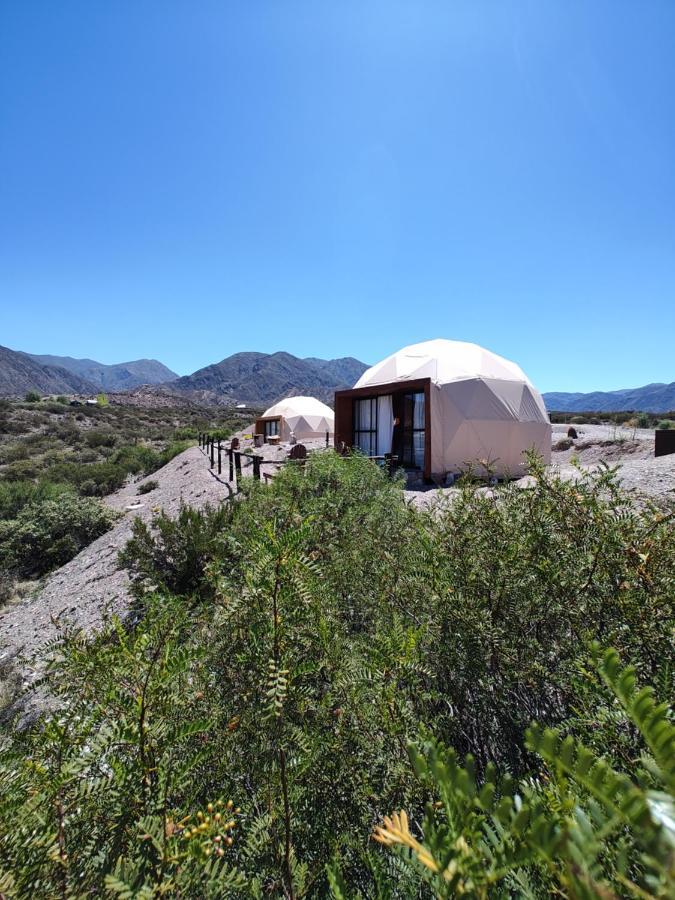Luxury tent Denmoza Eco Potrerillos