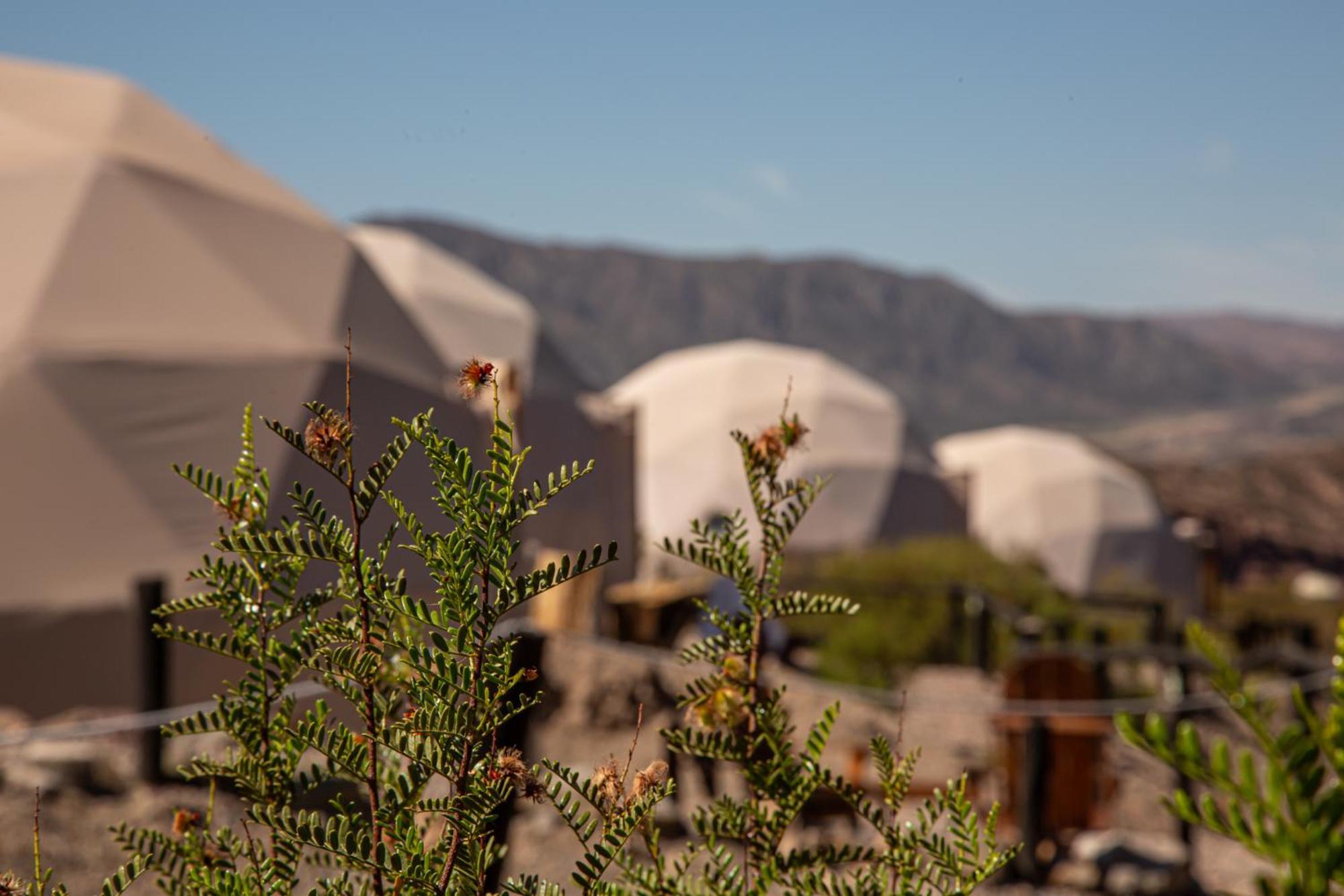 Denmoza Eco Luxury tent